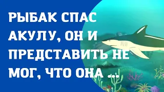 Рыбак спас акулу. Он и представить не мог, как она его отблагодарит