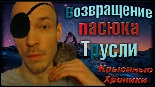 Невидимый пасюк, или как ввести Росса в ступор. Эмоции. (Wild Rats | Дикие Крысы)