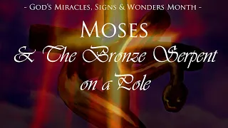 Daily Scripture - Numbers 21:4‭-‬9 - Moses & The Bronze Serpent on a Pole {Foreshadows Jesus Christ}