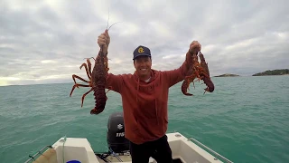 Southern Rock Lobster (Crayfish) - Catch & Cook | Beachport, South Australia