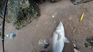 First Striper hunt of 2024