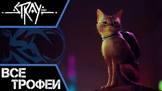 Как получить платину в #Stray. Все предметы и трофеи в одном видео!