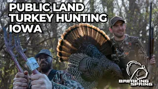 Public Land Turkey Hunt Iowa