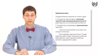 Обществознание (ЕГЭ). Урок 42. Рабочее время. Оплата труда. Регулирование труда несовершеннолетних