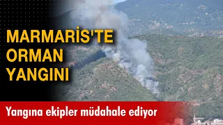 Son dakika! Marmaris'te orman yangını!