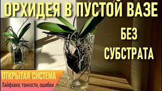 ОРХИДЕИ В ПУСТОЙ ВАЗЕ - ЛАЙФХАКИ, ТОНКОСТИ И ОШИБКИ СОДЕРЖАНИЯ, ПЕРЕВОДА И ЩАДЯЩЕЙ АДАПТАЦИИ В ОС!