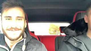 2 IDIOTS 1 CAR