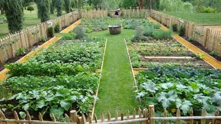 Membuat Kebun di Pekarangan Rumah | Memanfaatkan Lahan Sempit Sebagai Kebun Sayur