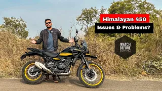 Issues in 2024 Himalayan 450 - Can you ignore?