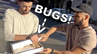 BUGS IN BIRTHDAY PRESENT PRANK!!!