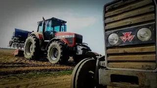 Siew łubinu 2018/massey ferguson 9240/Fiona siewnik/1080P