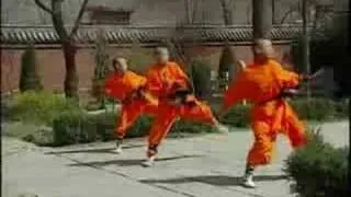 Shaolin Monks Training