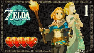 Zelda: Tears of the Kingdom #1 [NS] - 100%  Normal Mode /All Shrines, Quests, Items and Bosses (4❤)