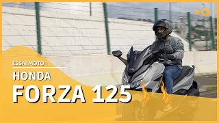 Forza 125 Honda 2022, scooter phare de la marque 😍🔥🔥🔥