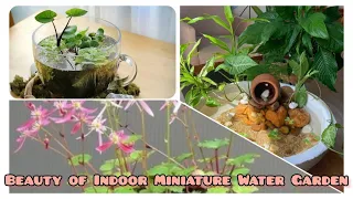 SIMPLE DIY Miniature Water Garden Oasis for Indoor Vibrant Vibes | Amazing Aesthetic Cozy Home Decor