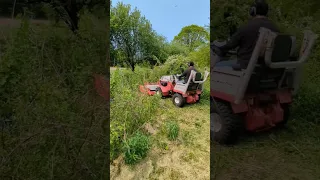 ventrac 4500z toughcut mowing down a overgrown raspberry bush