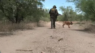 Border Patrol's K9s sniff out smugglers