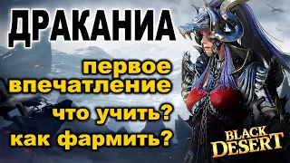 ДРАКАНИА: Скилы, фарм и первые впечатления - НЕ гайд в BDO - Black Desert (MMORPG)