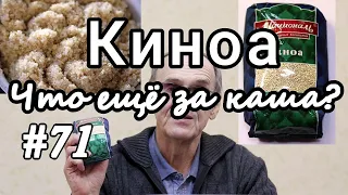 Киноа. Что это за крупа. Польза и вред