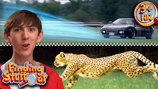 Cheetah Vs Ferrari | Fast Cars and Wild Animals | Full Episodes | Finding Stuff Out