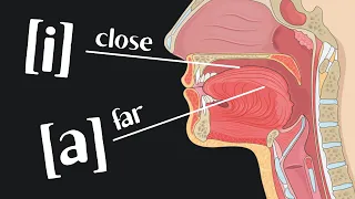 The Vowels of Distance