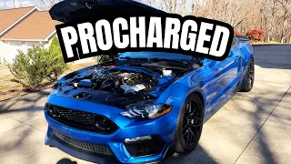 Meet my Procharged 2019 Mustang GT (POV Drive, revs, pulls)