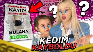 KEDİM KAYBOLDU ! / BULANA 10.000TL PARA ÖDÜLÜ !!