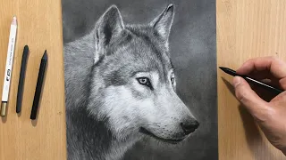 Charcoal Drawing of a Wolf