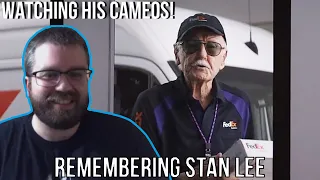 Remembering The Great Stan Lee (Watching His Cameos!)