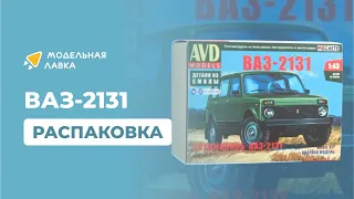 Сборная модель ВАЗ-2131. Распаковка