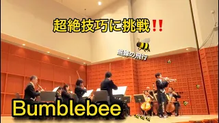 Bumblebee/trumpet/HAYATO KODAMA/熊蜂の飛行/リムスキーコルサコフ