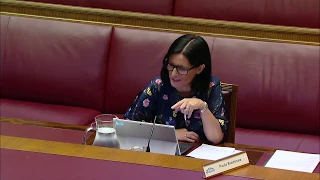 Committee for Health Meeting Thursday 25 June 2020