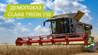 ДЕМОПОКАЗ НОВОГО CLAAS TRION 730! МОЛОТИМО ПШЕНИЦЮ ВРОЖАЮ 2023!