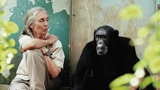 Dr. Jane Goodall: Reasons for Hope