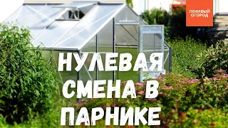 Ранний урожай овощей и зелени | Первый урожай зелени в теплице | Первый урожай овощей в теплице