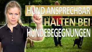 Stressige Hundebegegnungen: Die erste wichtige Übung, damit dein Hund ansprechbar bleibt!