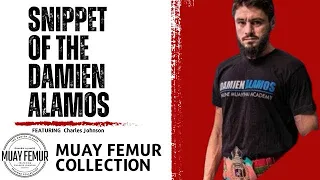 Muay Thai Teep and Movement Technique Snippet of The Damien Alamos Femur Collection!