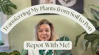 Transferring 6 Plants from Soil to Pon  - Repot With Me!