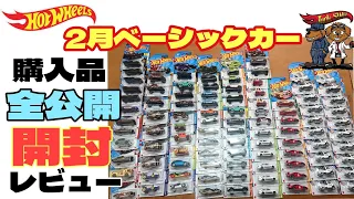 叱られる？ホットウィールベーシックカー 全購入品公開&レビュー