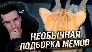 НЕОБЫЧНАЯ ПОДБОРКА МЕМОВ V232 | Реакция HellYeahPlay