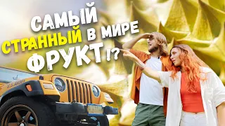 ПЕРВЫЙ РАЗ ПРОБУЕМ ДУРИАН И ИЩЕМ ДУРИАНОВЫЕ ПЛАНТАЦИИ! НА ЧТО похоже ДУРИАНОВОЕ мороженое?