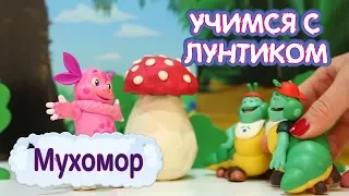 Мухомор 🍄 Учимся с Лунтиком 🍄 Новая серия