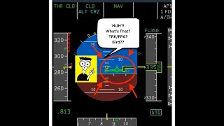 Airbus A320 Tutorial | Unlocking Precision Flying with Flight Directors and TRK/FPA