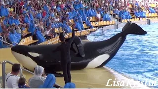 Best of Loro Parque - Killer Whales 2014