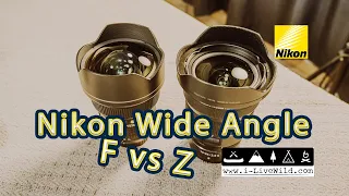 Nikon Wide Angle Review │F vs Z │14-24mm f2.8 │Nikon z7ii