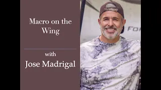 Session 181:  Macro on the Wing with Jose Madrigal