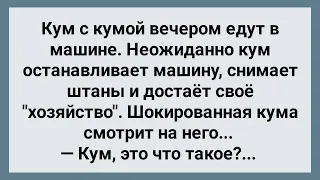 Кум Снял Штаны Перед Кумой! Сборник Свежих Анекдотов! Юмор!