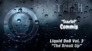 Liquid Drum and Bass - Vol. 3 - "The Break Up" - March 2013