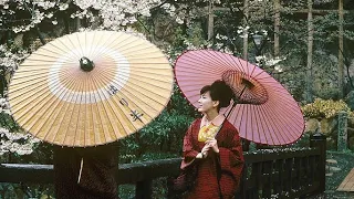 Tokyo City In the 1960s | Vintage Photograph