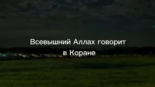 Всевышний Аллах говорит в Коране!